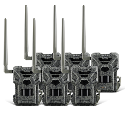 FLEX-G36C US PRE-OWNED 6 PACK